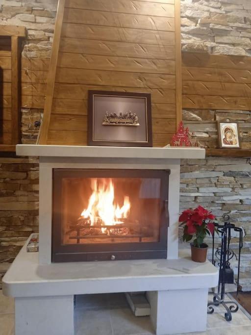 Mila Vip Apartment Bansko Exteriér fotografie