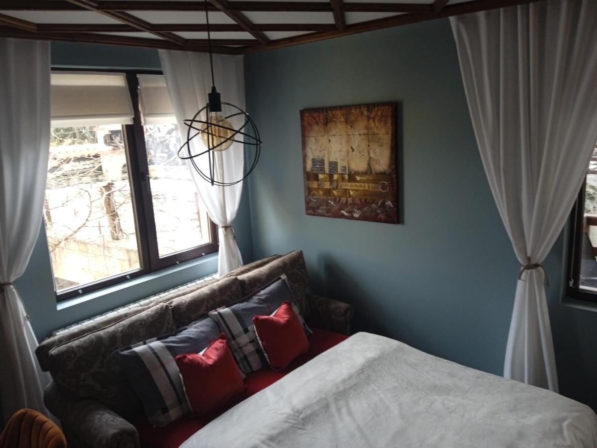 Mila Vip Apartment Bansko Exteriér fotografie