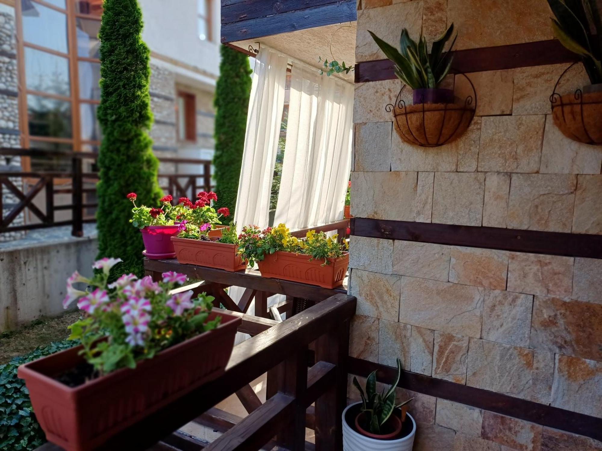 Mila Vip Apartment Bansko Exteriér fotografie